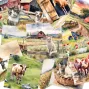Preview: LaCreativ - Designpapier "Traumhafte Bauernhofidylle" Paper Pack 6x6" - 24 Bogen